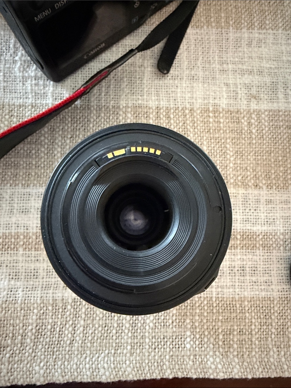 Canon DSLR Camera Kit with Black Body and Black Lenses - Picture 11 of 12